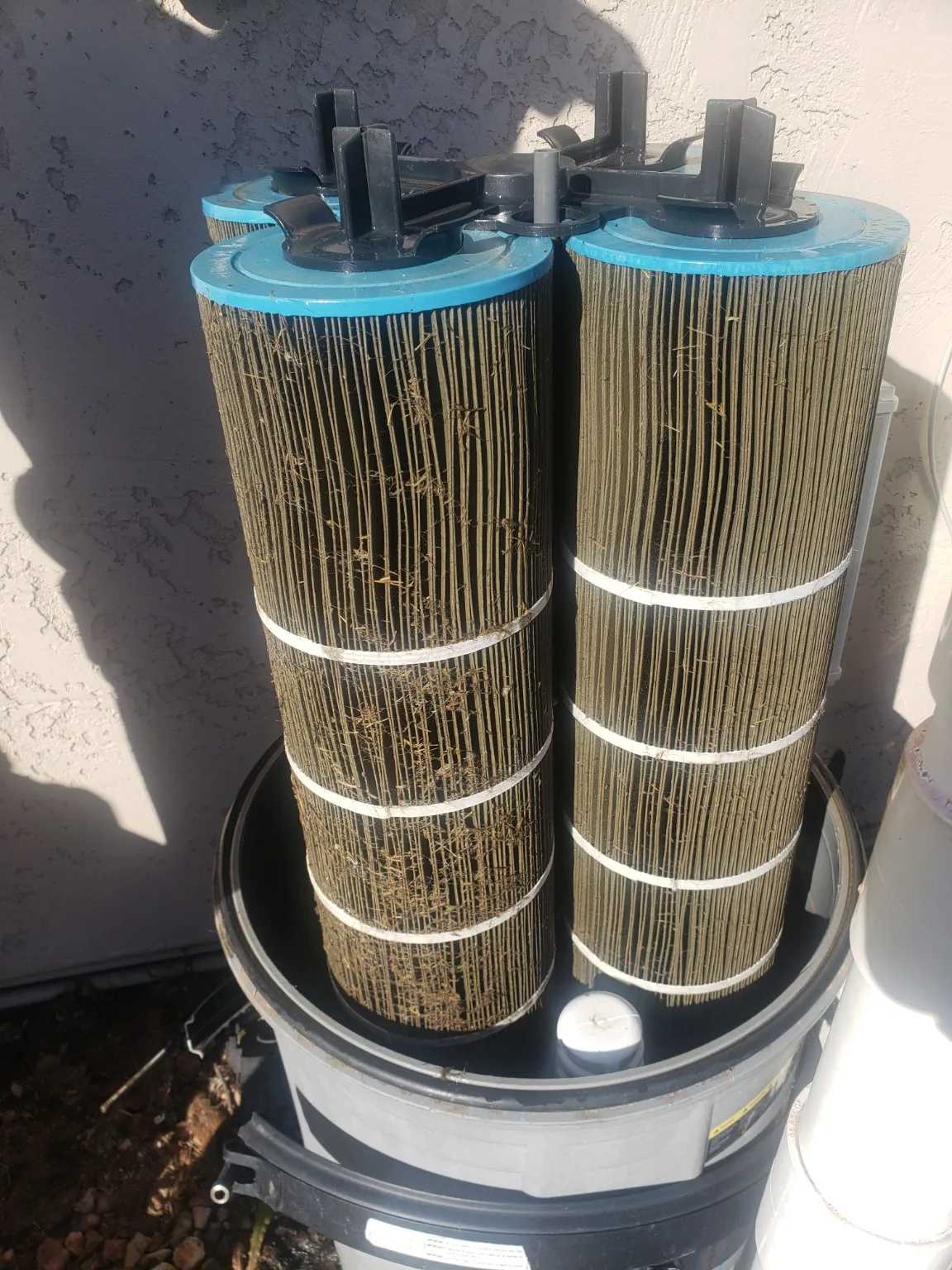 Dirty pool filter cartridges