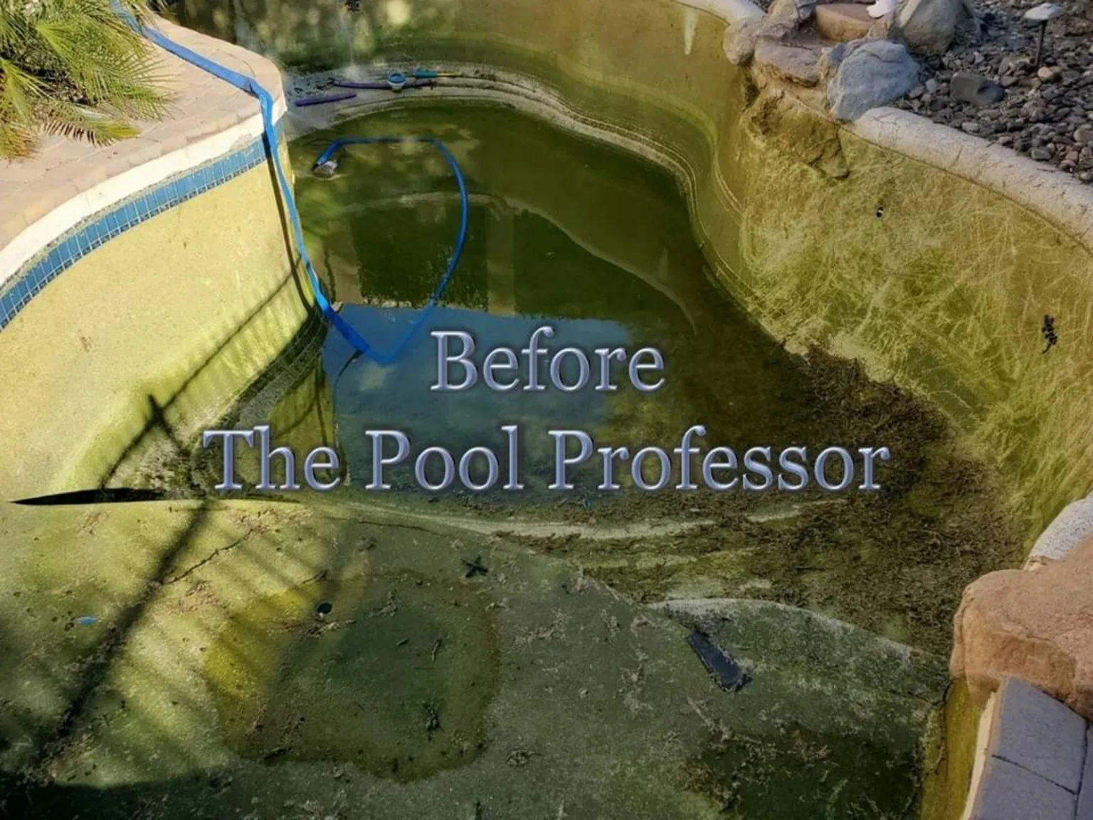 Green pool before recovery