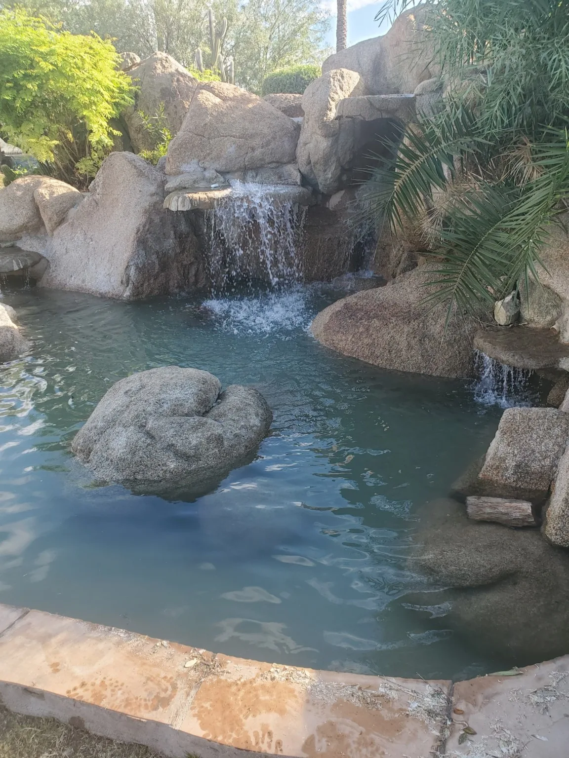 Swimming pool with waterfall feature